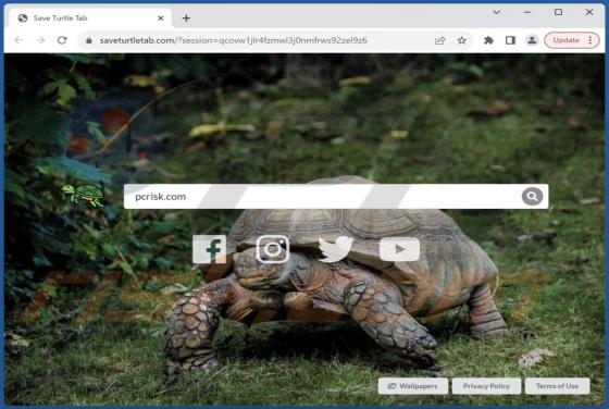 Porywacz przeglądarki Save Turtle Tab