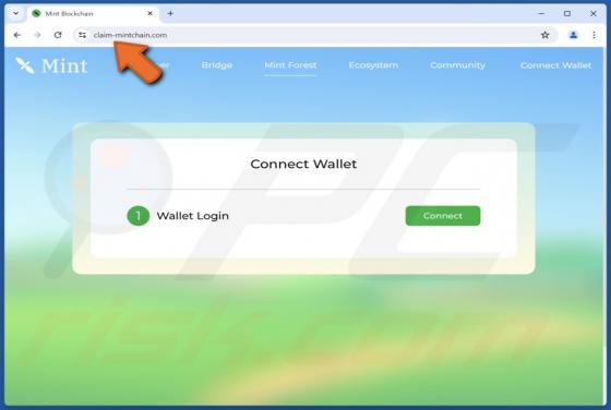 Oszustwo Mint Blockchain Wallet Connect
