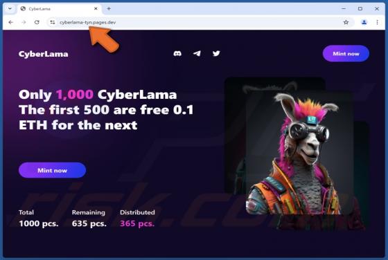 CyberLama Mint Oszustwo