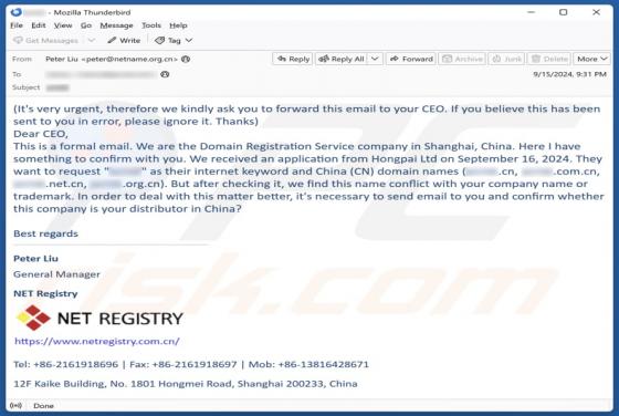 Oszustwo e-mailowe Domain/Company Name Conflict