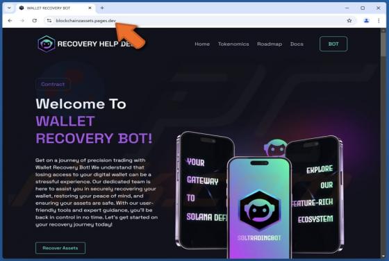 Wallet Recovery Bot Oszustwo
