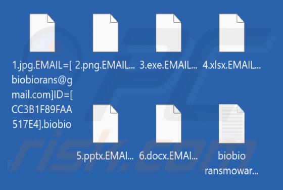 Biobio (Kasper) Ransomware