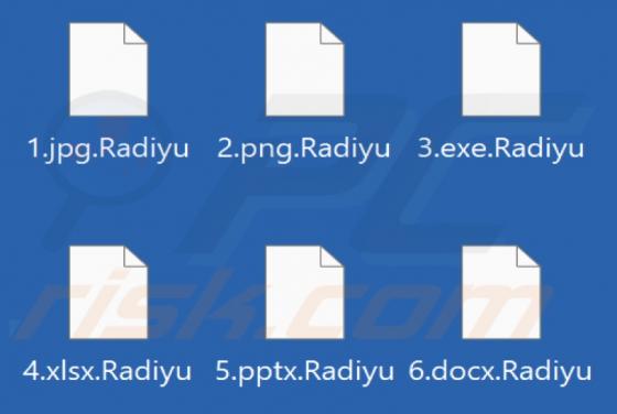 Radiyu Ransomware