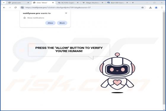 Notifynow.pro Reklamy