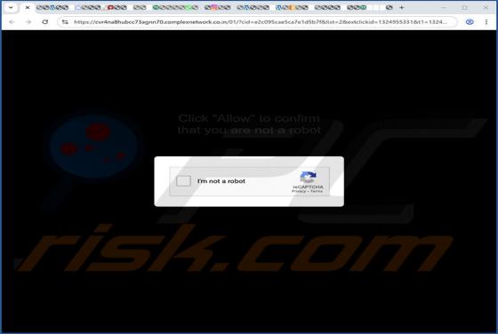 Complexnetwork.co.in Reklamy