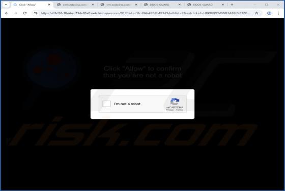 Netchainspan.com Reklamy