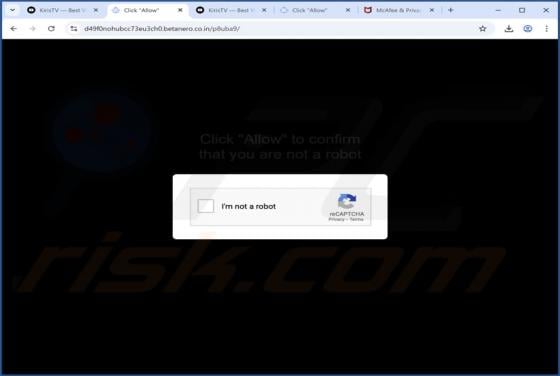 Betanero.co.in Reklamy