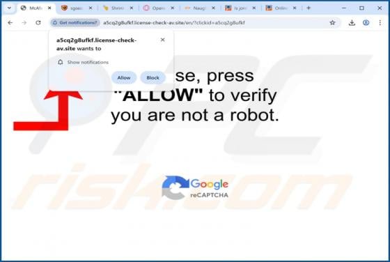 Reklamy License-check-av.site