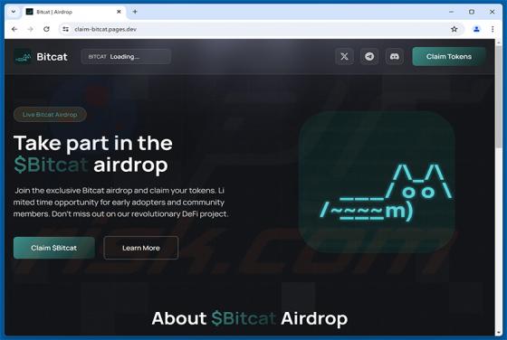 $Bitcat Airdrop oszustwo