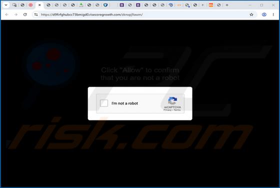Risecoregrowth.com Ads