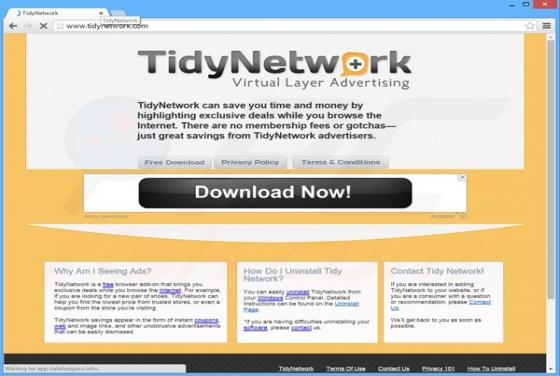 Reklamy TidyNetwork