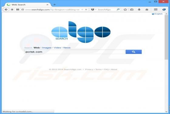 Przekierowanie SearchAlgo.com