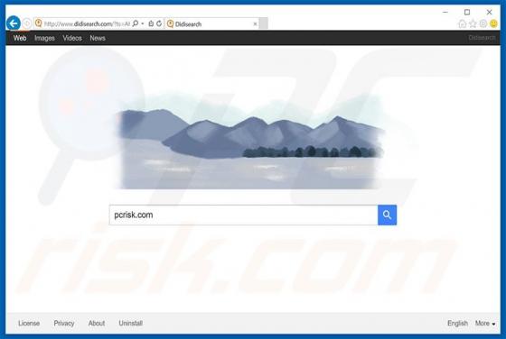 Przekierowanie didisearch.com