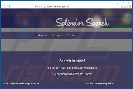 Reklamy Splendor Search
