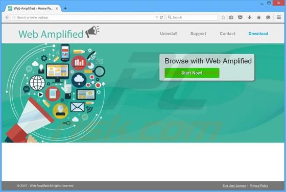 Reklamy Web Amplified