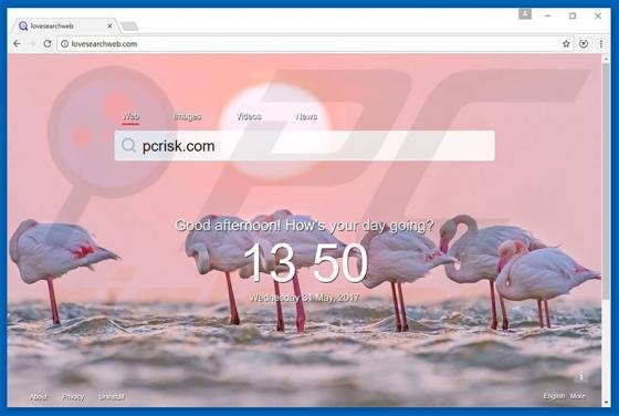 Przekierowanie lovesearchweb.com