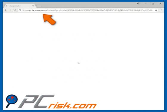 Przekierowanie POP-UP white-canary.com