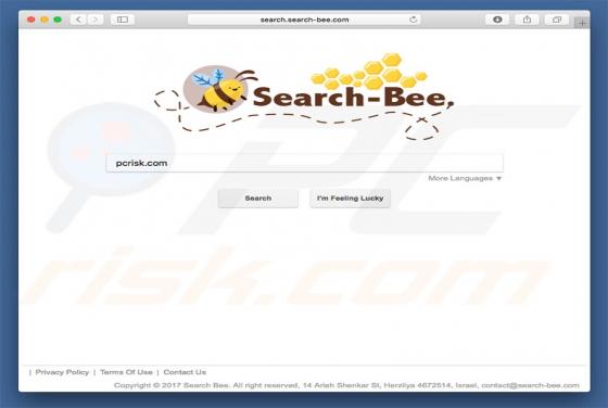 Przekierowanie search.search-bee.com (Mac)