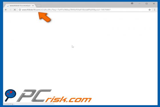 Przekierowanie POP-UP hibids10.com