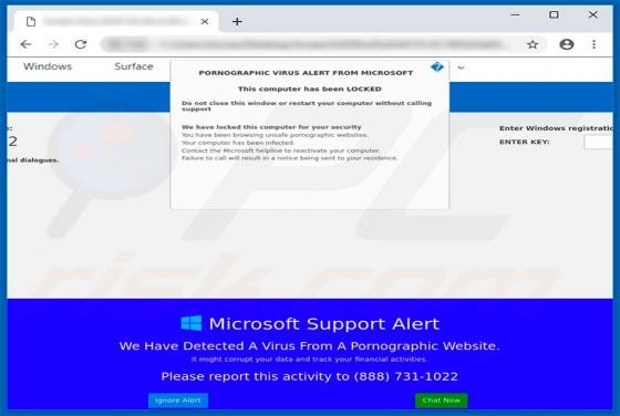 Oszustwo POP-UP PORNOGRAPHIC VIRUS ALERT FROM MICROSOFT