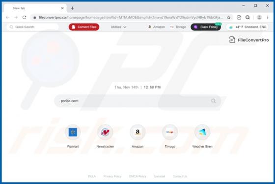 Porywacz przeglądarki FileConvertPro