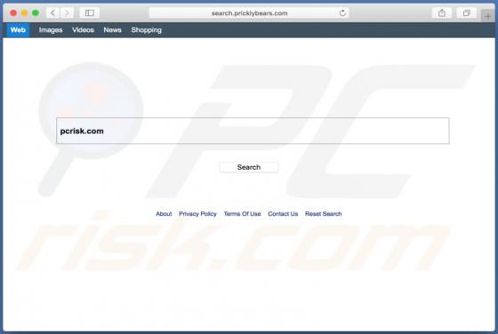 Przekierowanie search.pricklybears.com (Mac)