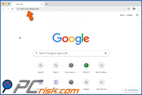 Przekierowanie feed.chunckapp.com (Mac)